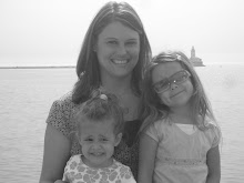 My Ladybuggs