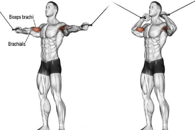 Overhead Cable Curl Exercise