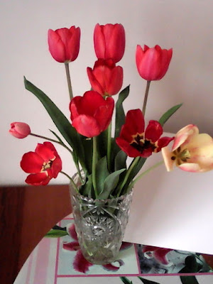 noua lalele (sapte rosii, un boboc roz si una galbena) in vaza