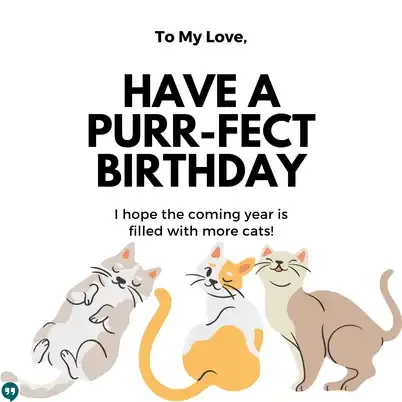 funny birthday wishes to my love images with cats