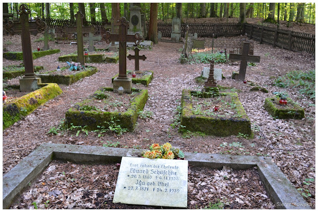 Ewangelicki Cmentarz Leśników na Bukowej Górze nad Pysznem