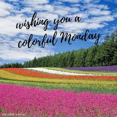 good morning wishing you a very colorful monday