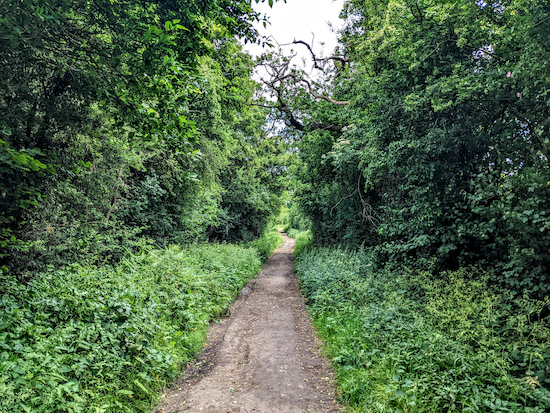 Follow Colney Heath BOAT 54 until you reach Tyttenhanger Green
