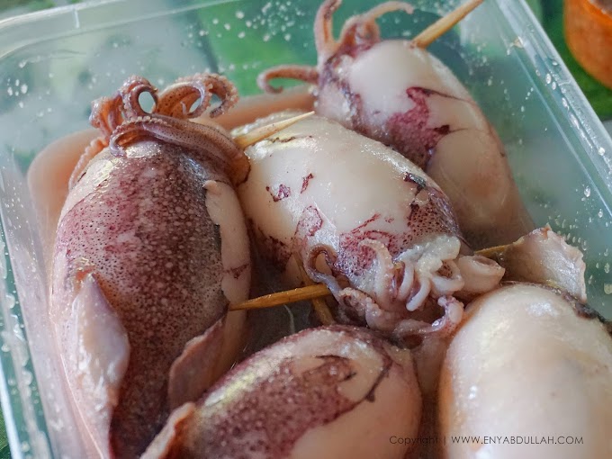 Korang Tahu Tak Ketupat Sotong Sedap Rupanya!