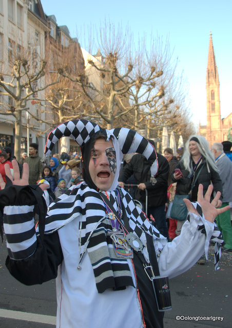 Fasching Festival, Wiesbaden, Germany