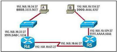 CCNA 2 Module 1 V4.0