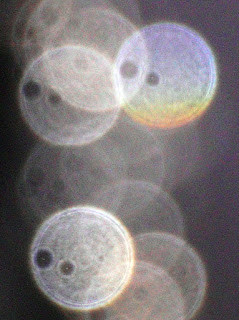 orb motif