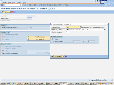 DMEE Configuration:Step By Step Part 2