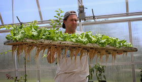 http://www.marketplace.org/topics/sustainability/how-grow-lettuce-and-fish-indoors-all-year-long