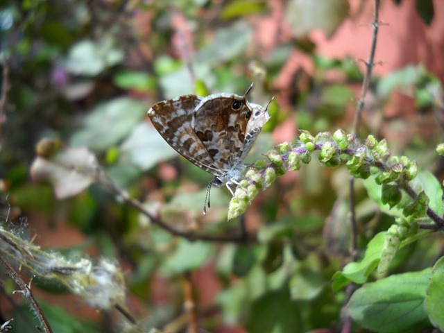 DSCN4280_2