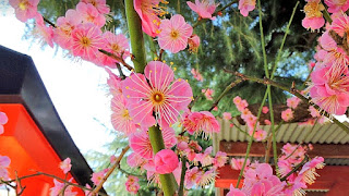 人文研究見聞録：綱敷天神社（北野天神・喜多野天神・喜多埜天神） ［大阪府］