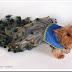 Perro con disfraz de pavo Real