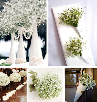 Baby Breath Wedding Flower