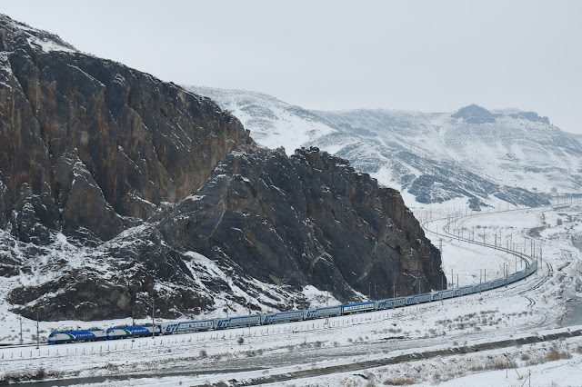 ウズベキスタン鉄道 シャーク号 シャルク号 ジザフ