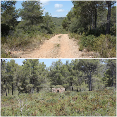 SANT JAUME DELS DOMENYS-PUIG DE LA TIULA, camí de la Plana a les terres planes del Gatell i barraca de pedra seca