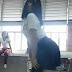Colegialas realizan baile sexy delante de profesores [VIDEO]