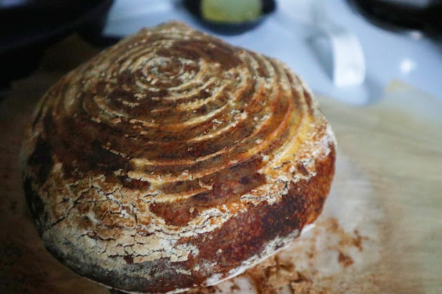 A sourdough country loaf