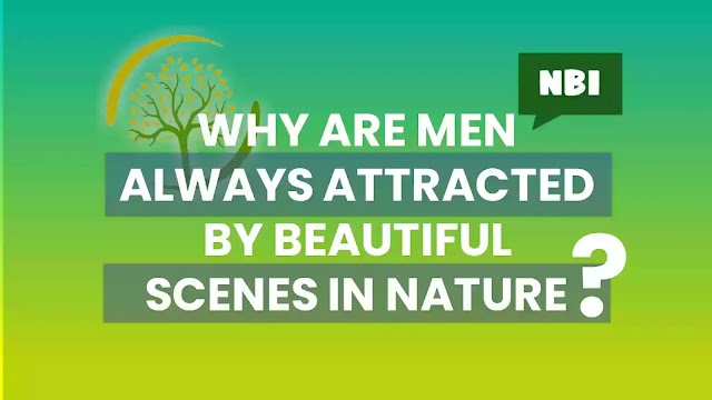 Why A Men Always Attracted By Beautiful Scenes In Nature?