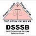 DSSSB 2022 Jobs Recruitment Notification of Inspector,Master and more 547 Posts