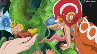 ワンピースアニメ ドレスローザ編 641話 ウソップ カブ 小人 | ONE PIECE Episode 641