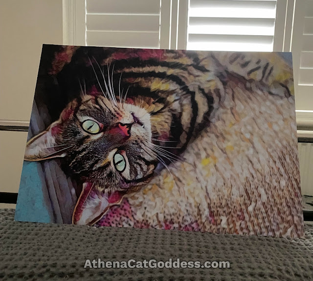 cat art portrait leaning against bed post