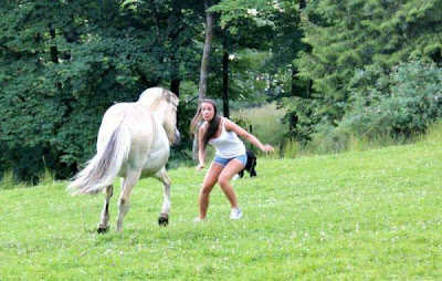 Women usually like all the cute and fluffy creature, they always want to pet them... But these creatures can be not that cute. And this is what can happen, if you try to get along with them.