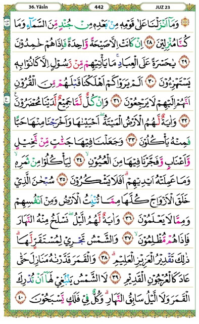 surat yasin