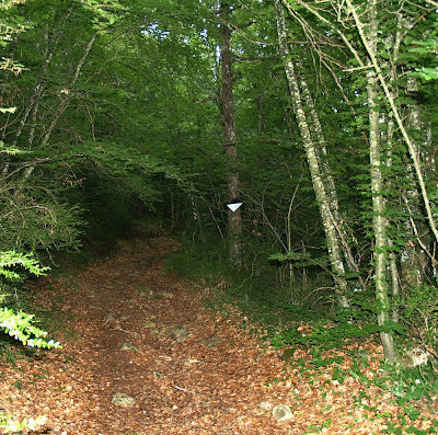 Caminanr a prop del torrent de l'Espina