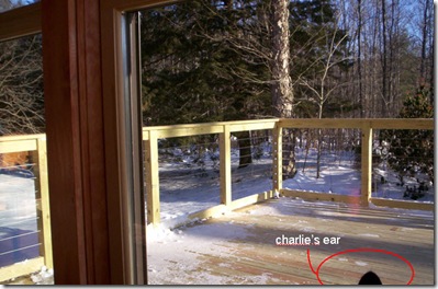 deck with ear