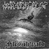 fleischwald / agamenon project