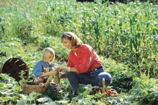 gardening-for-fitness