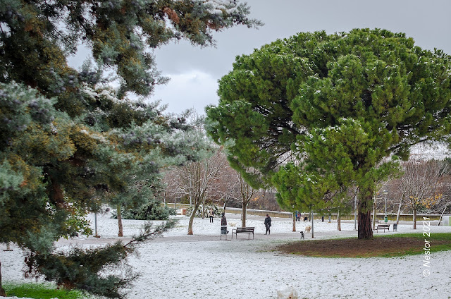 Logroño nevado enero 2021