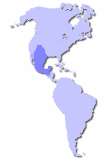Distribución