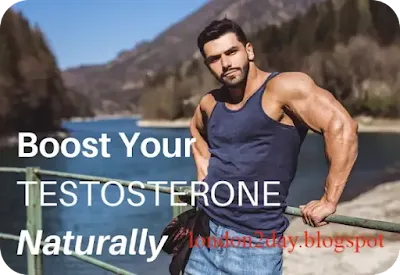 Understanding the Art of Testosterone Reactivation: A Comprehensive Guide