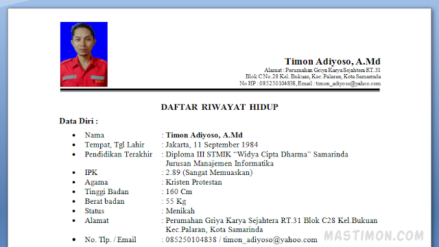 Contoh Cv Curriculum Vitae Untuk Melamar Di Perusahaan 