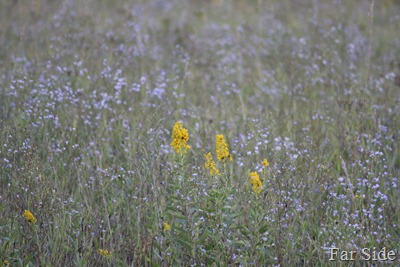 IMG_1932