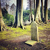 Ohlsdorf, il parco-cimitero di Amburgo