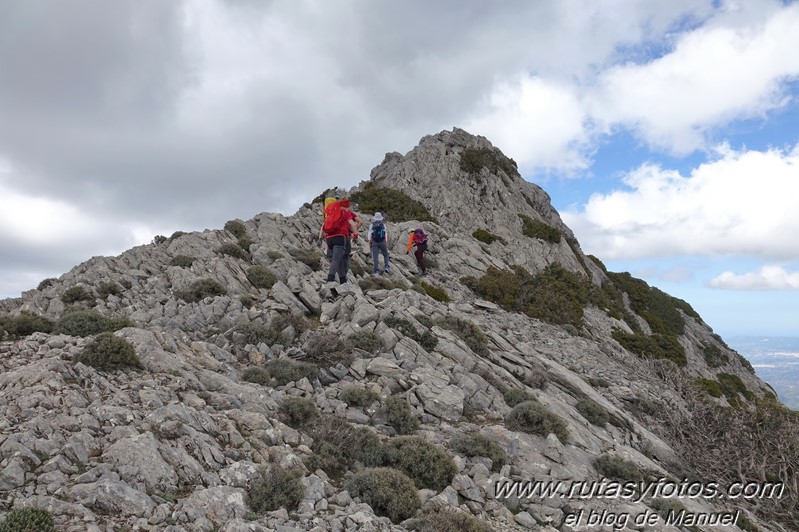 Colada del Tejo - Cerro Estepilar - Cerro del Pilar - Cerro de los Valientes - Picaho de Fatalandar