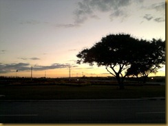 Foto0519