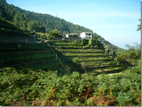 P1100779