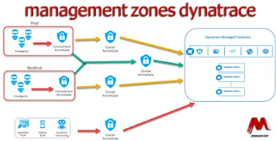 management zones dynatrace