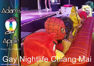 Gay Nightlife Chiang Mai Adams Apple Club