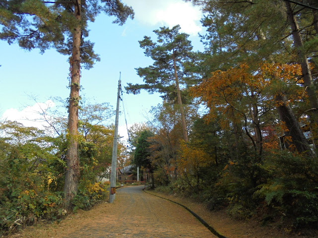 別荘地の紅葉