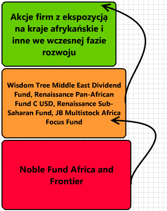 Czy warto zainwestować w Noble Fund Africa and Frontier