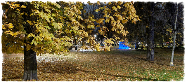 Fine høstfarger i Sofienberg­parken i Bydel Grüner­løkka i Oslo.