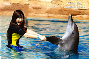 Dancing with a cute Dolphin at Atlantis Hotel, Dubai :) (img signed resize)