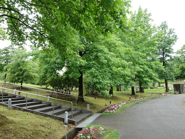 鳥取県西伯郡南部町鶴田　とっとり花回廊