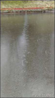 IMAG0288sm