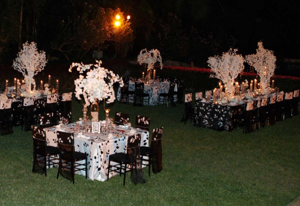 Black And White Reception Ideas