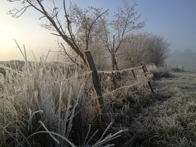 Sadler's Mill, Romsey - Simon Colenutt - The Deskbound Birder